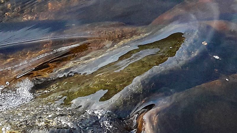 Salmon-shaped human shadow in a Highland river pool. K. Taylor