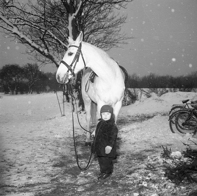 A little boy with a horse in winter. 1958. Sweden.